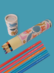 Coloured Pencil set of 6, Arabian wildlife (with Arabic colour names)