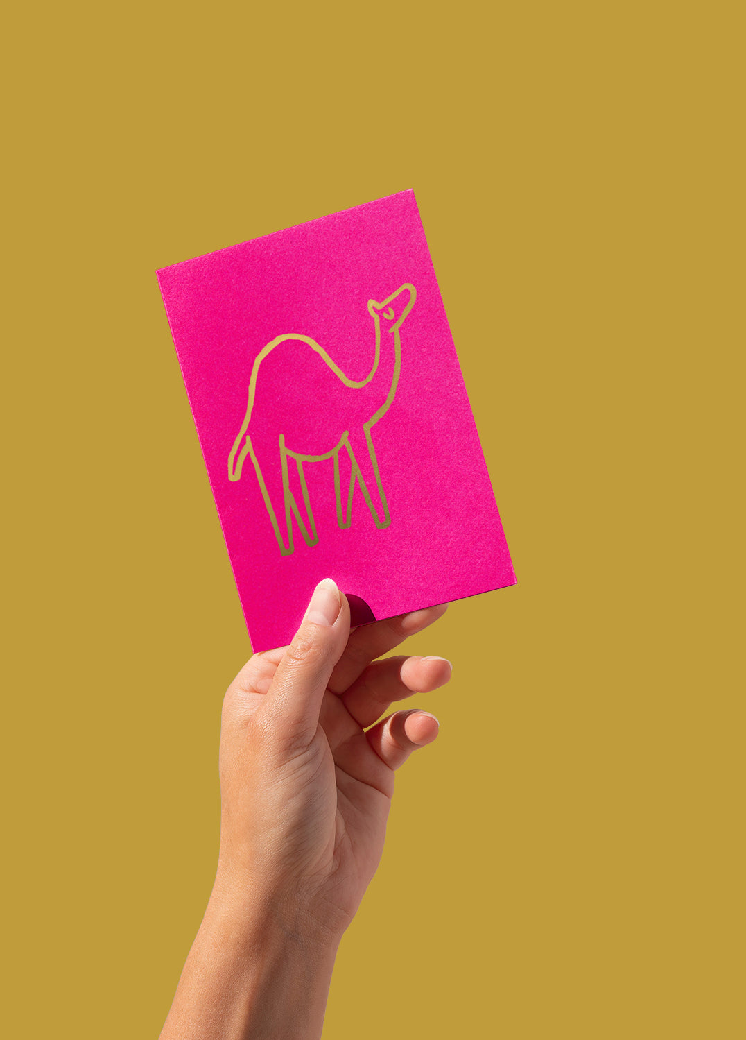 Postcard – Camel, gold on pink (single or set)
