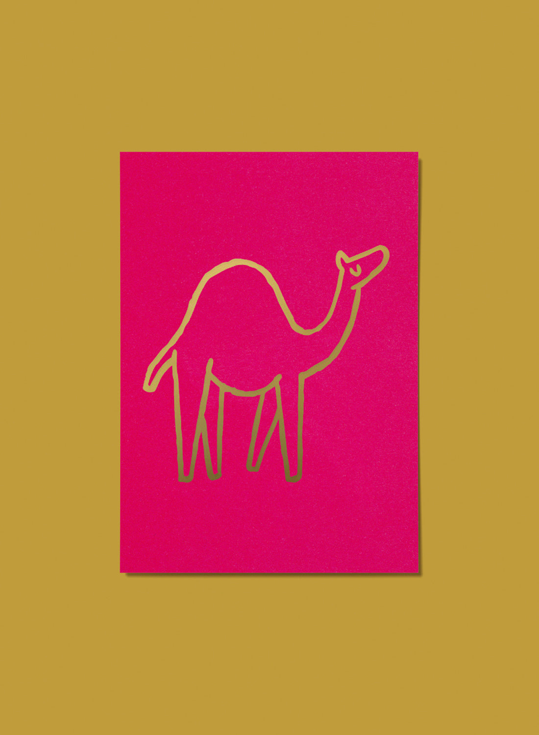 Postcard – Camel, gold on pink (single or set)