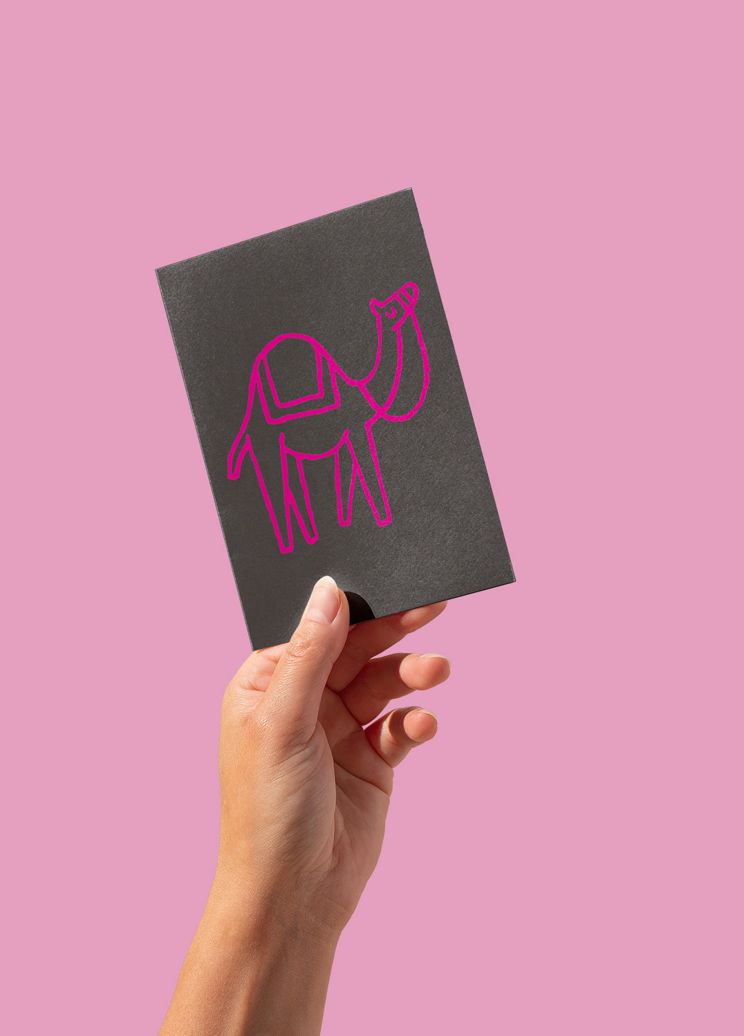 Postcard - Camel, pink on grey (single or set)