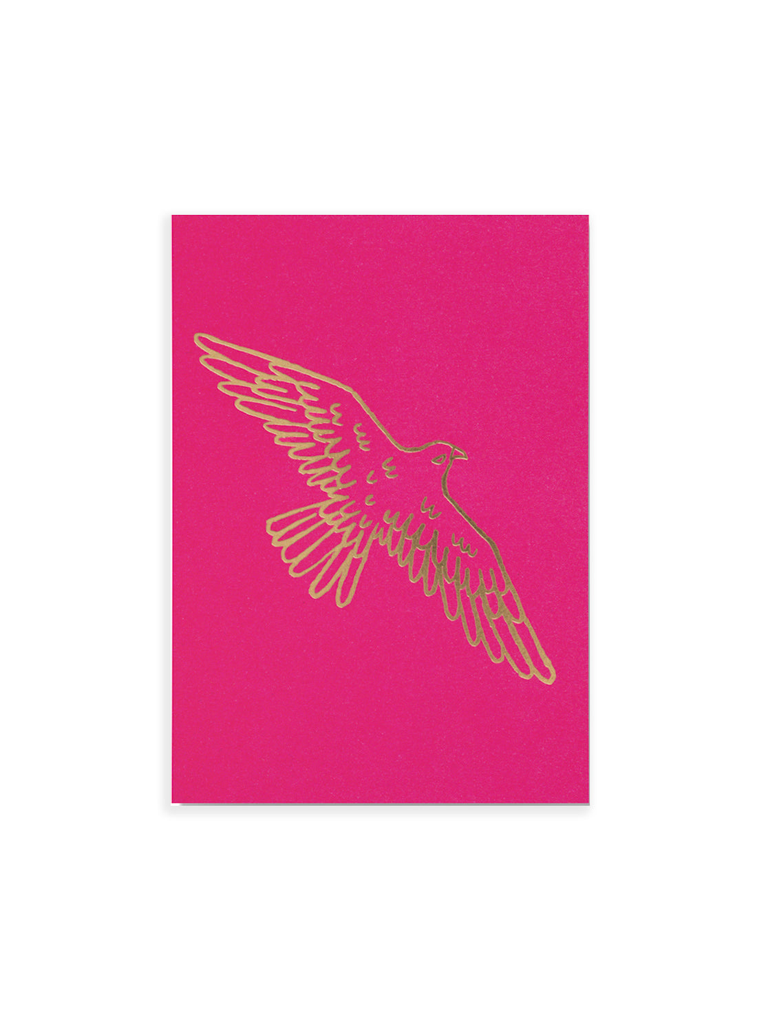 Postcard – Falcon, gold on pink (single or set)