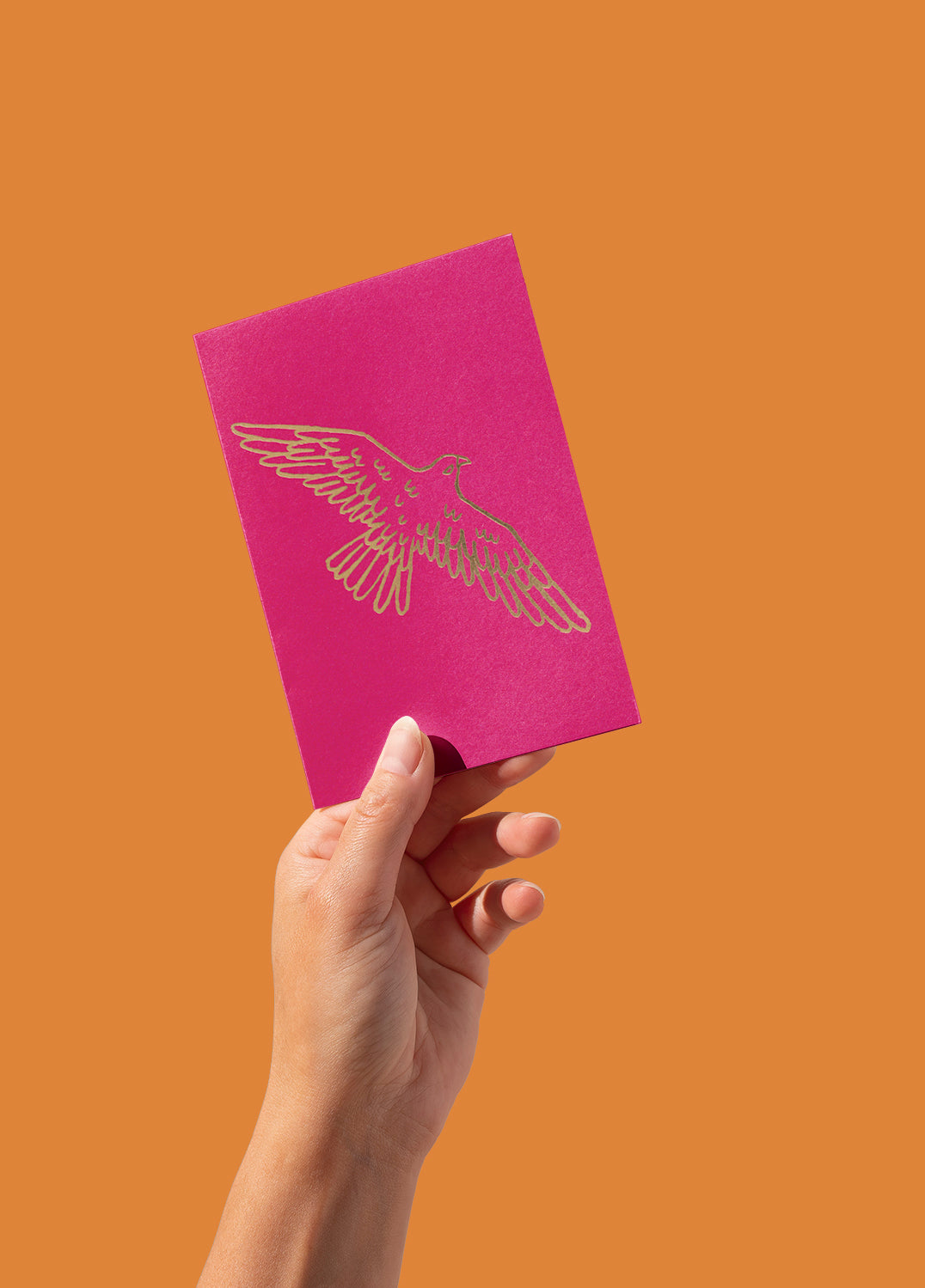 Postcard – Falcon, gold on pink (single or set)