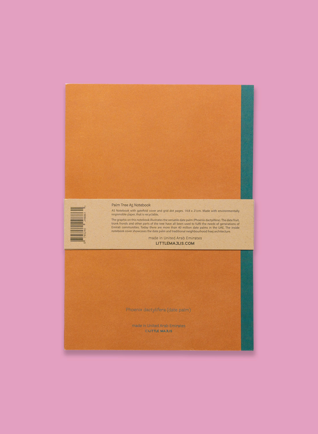 A5 notebook gatefold –  Palm tree