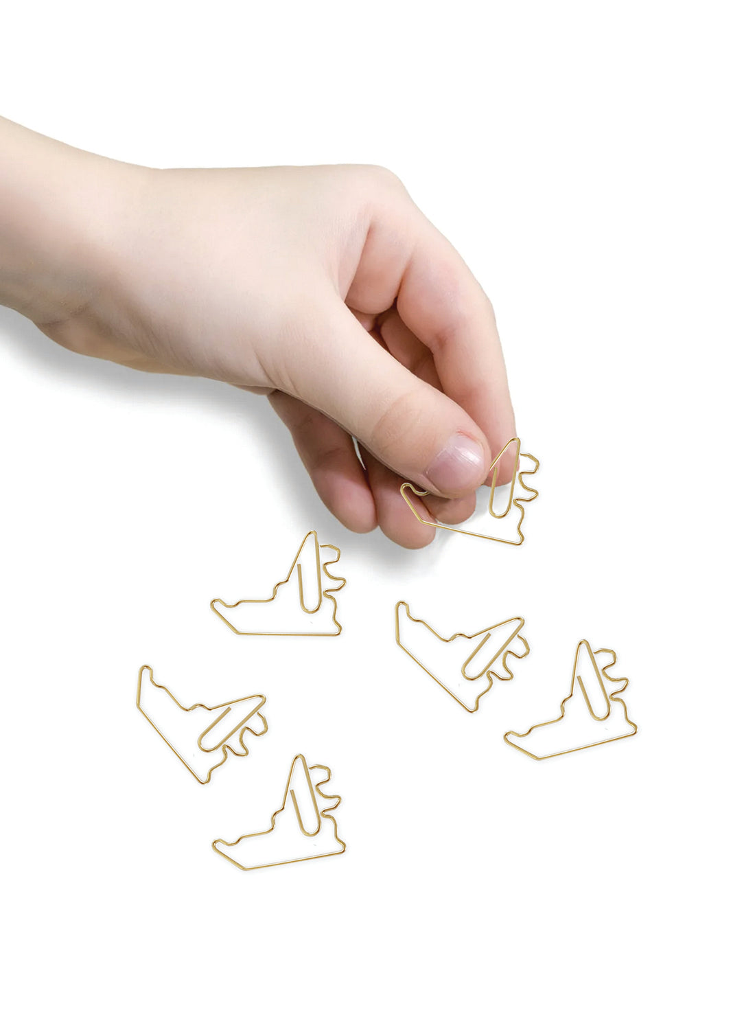 UAE Paper Clip Set