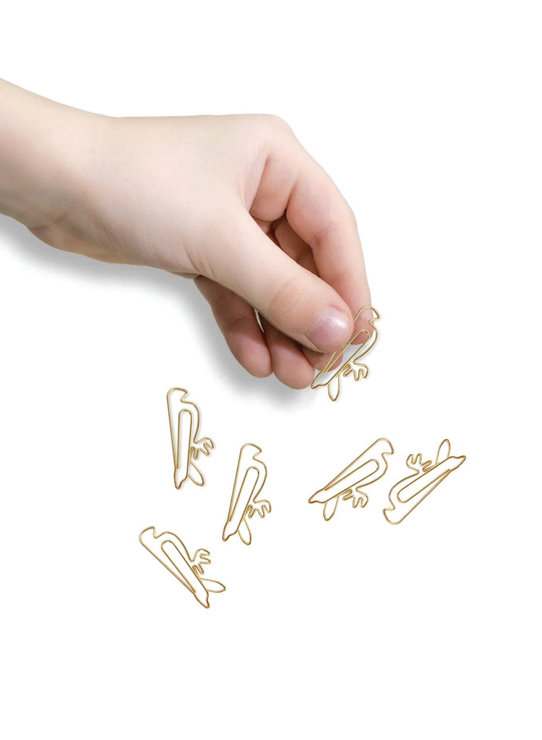 Falcon Paper Clip Set